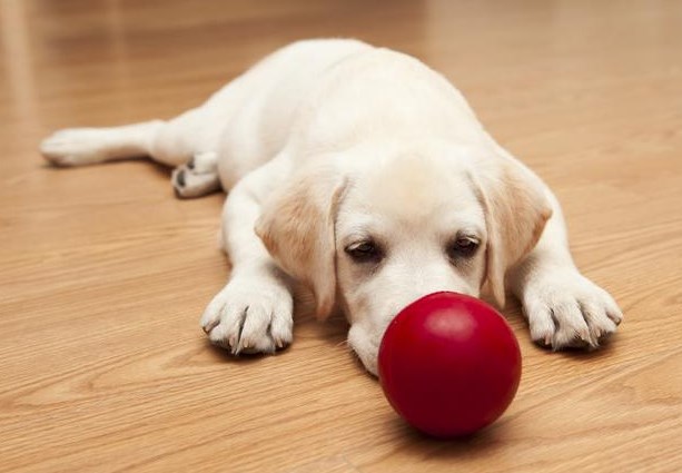 聪明人在这3件事上从不受影响不绕弯子