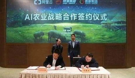 中国首富马云的三农情怀