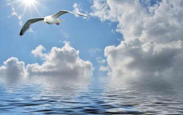 人生创业的黄金10年，不要轻易错过