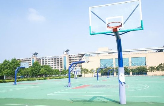 畅诺教育：公立学校和私立学校的区别