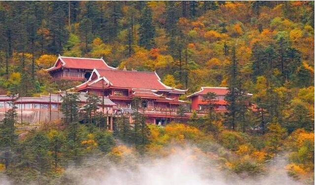 成都看秋叶最棒的地方