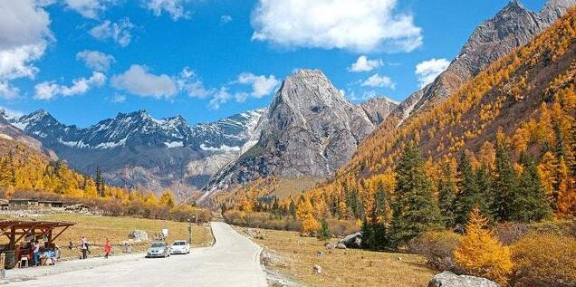 成都看秋叶最棒的地方