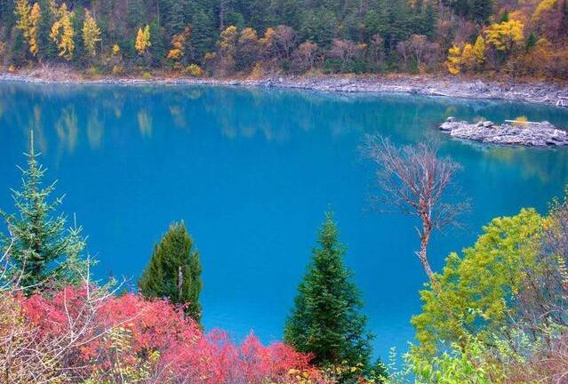 成都看秋叶最棒的地方