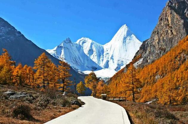 成都看秋叶最棒的地方