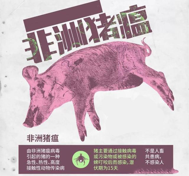 全国非洲猪瘟疫情发生省份及相邻省份动态