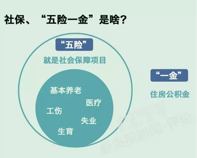 为什么企业要选择社保代缴？到底有何优势？