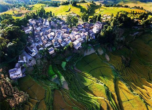 红河小众、绝美而隐秘的拍照圣地，pick一下！