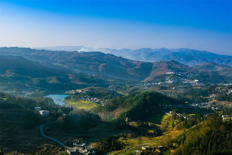 乡村振兴