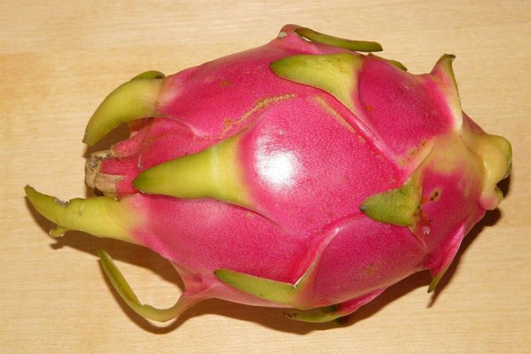 火龙果营养价值