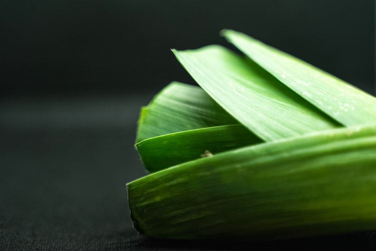 韭菜食用方法