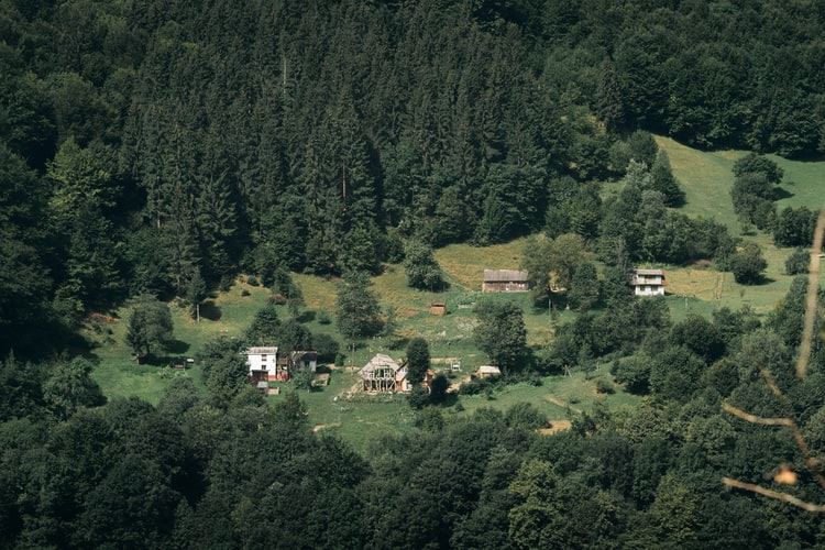 乡村振兴