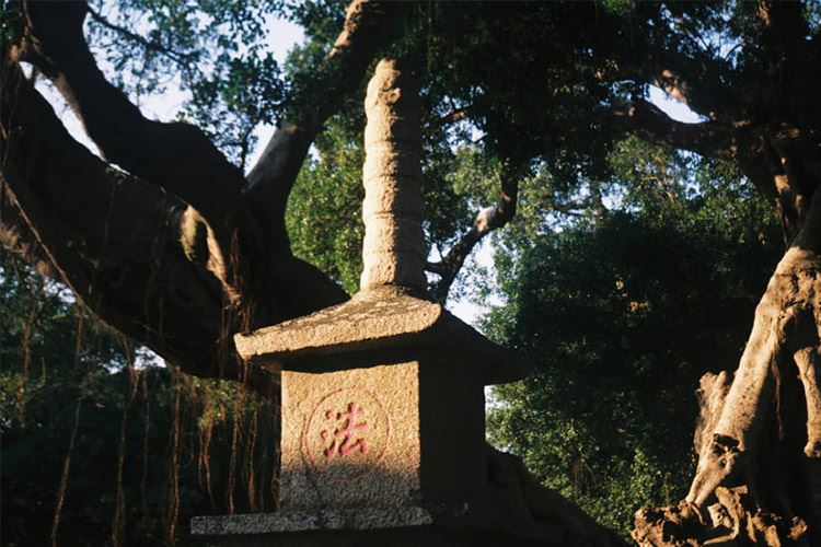 泉州风光