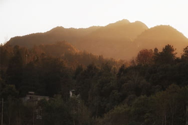 雁荡山环境
