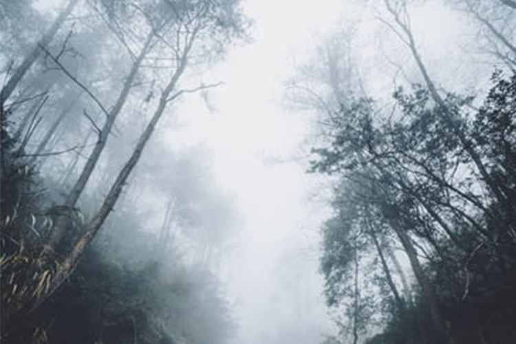 雁荡山景致