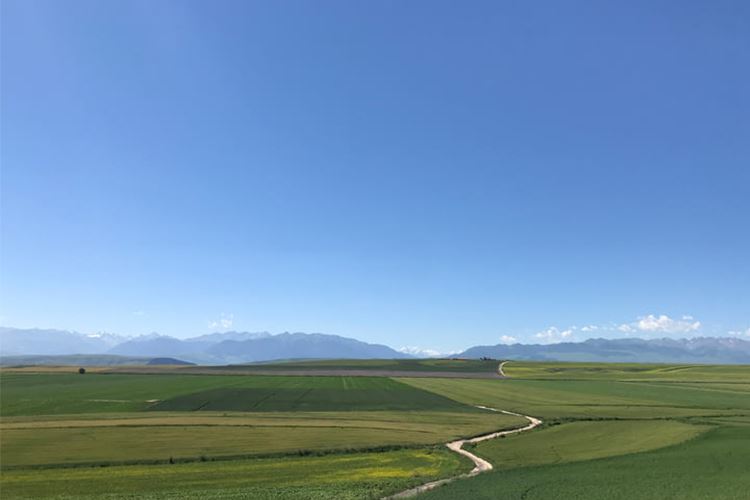 新疆环境