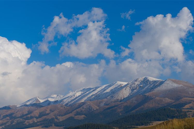 赛里木湖景观