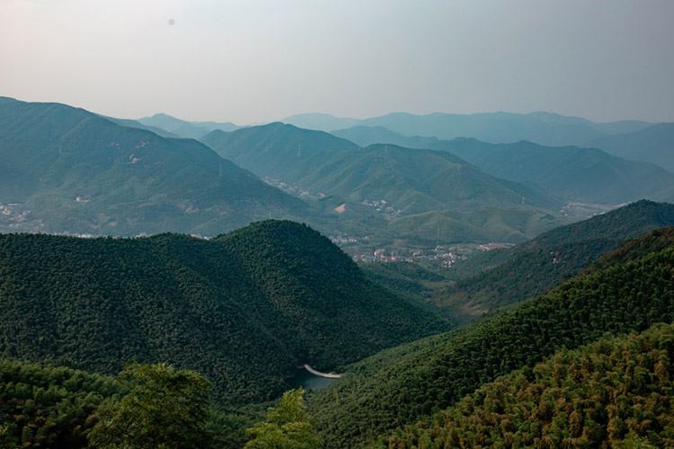 乡村规划