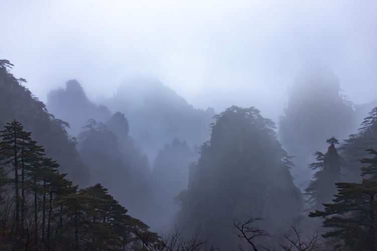 乡村发展