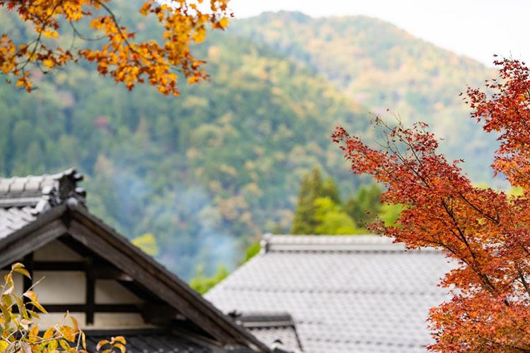 乡村建设