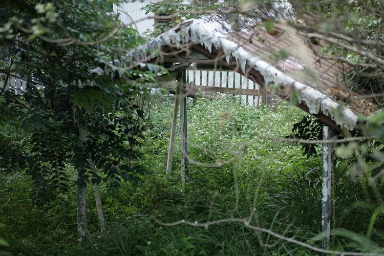 乡村规划
