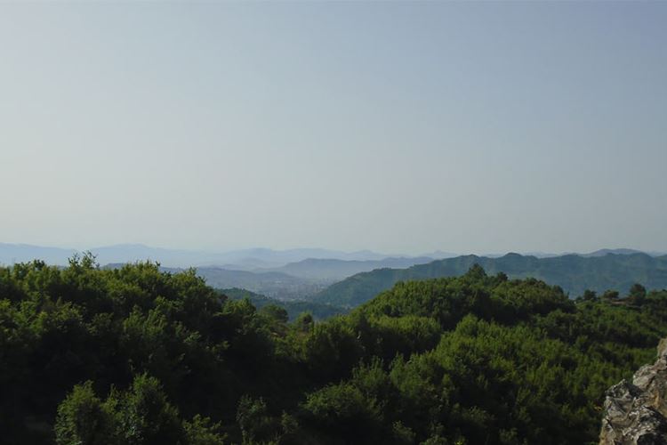 乡村振兴道路