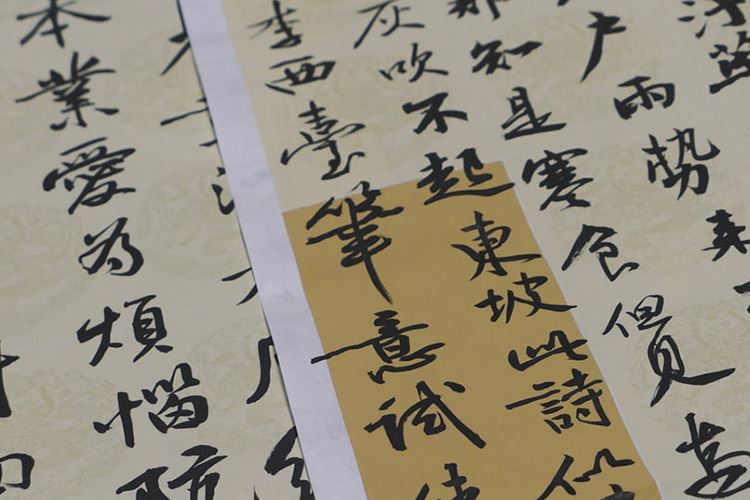 文化立场