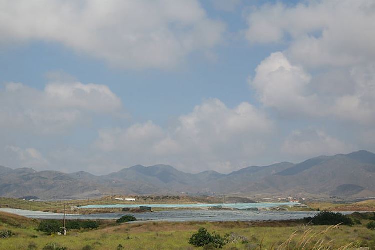 乡村振兴