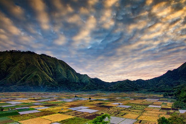 乡村振兴