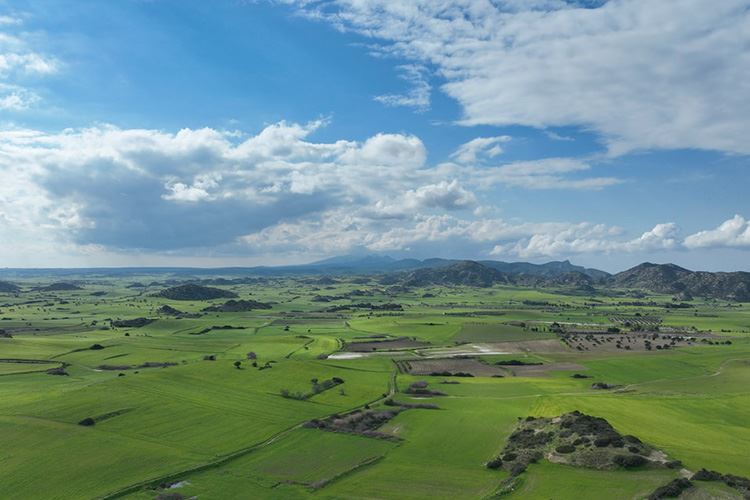 乡村振兴