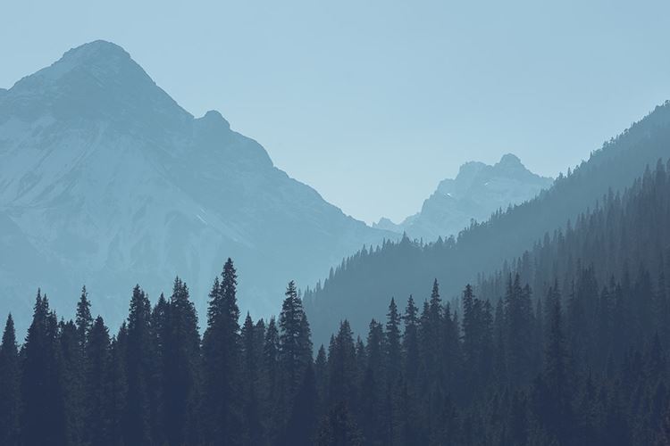 绵阳美景