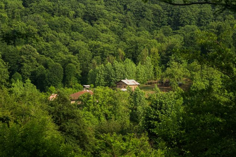 乡村建设