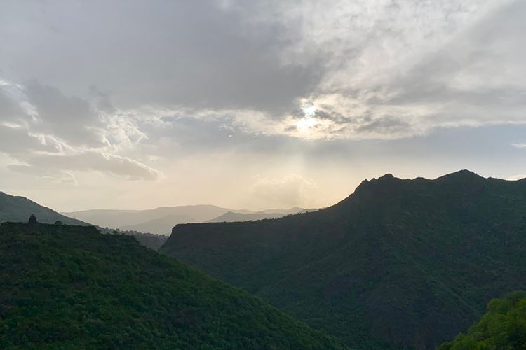 乡村振兴战略