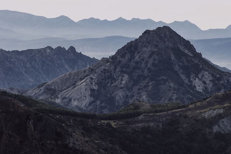 乡村振兴
