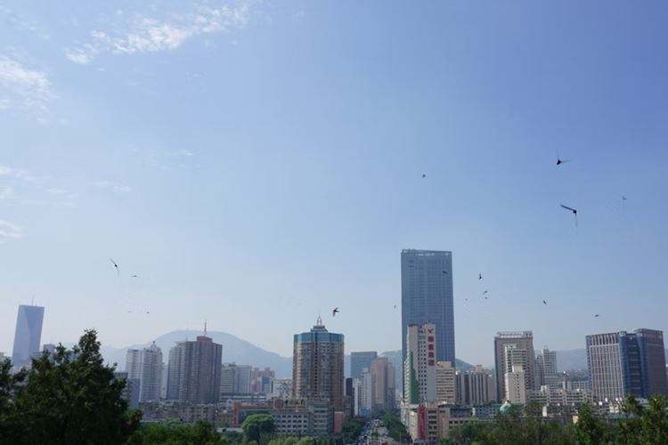 兰州景物
