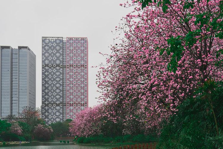 柳州景色