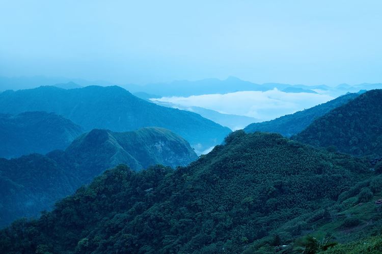 乡村振兴