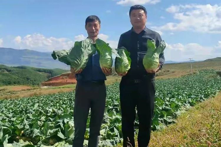 云南省昭通市永善县莲峰镇考察