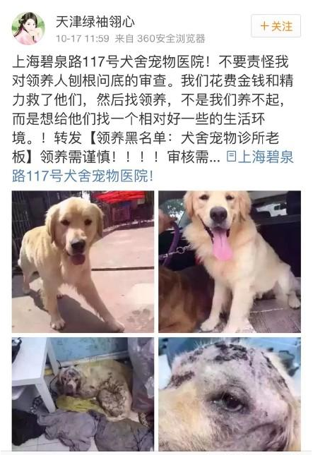 网曝宠物医生领养宠物狗当血狗样本虐待 致全身溃烂