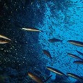 马尔代夫蓝湾半岛