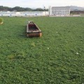 杭甬大运河变“草原” 这是书本里的那条运河么？