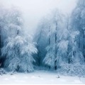 寒冷冰雪 世界各地的冬季绝美景象