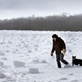 美中西部现奇异雪卷 似精灵玩雪