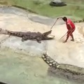 泰国驯兽师从鳄鱼嘴逃生 惊魂一刻