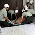 19岁胖墩行动不便求助消防洗澡
