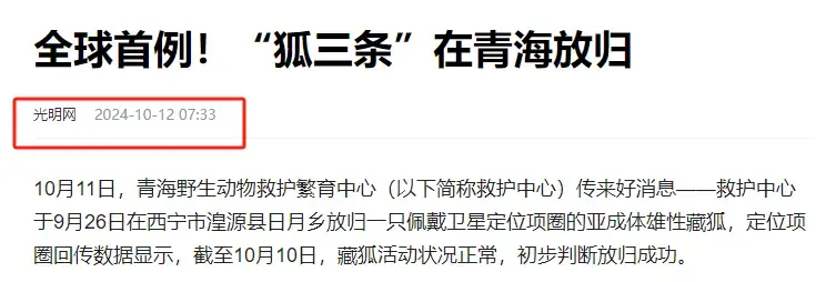 世界首例！青海专家花3个月救助“狐三条”，放生后它去哪了？