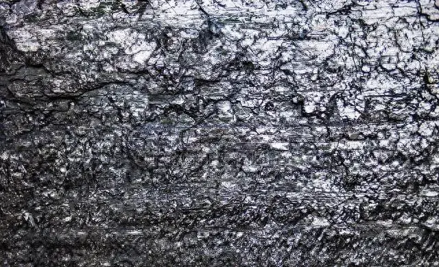世界最大的煤田！绵延上千公里，煤层厚达1千米，竟是植物形成的
