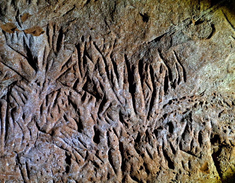 巴西存在一条非人类建造的隧道，研究发现，距今已有13000年