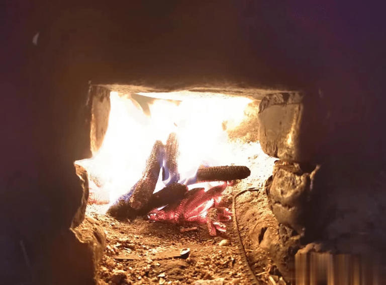 用来烧柴火的玉米芯，有4大作用，价值极高，农民朋友要了解！