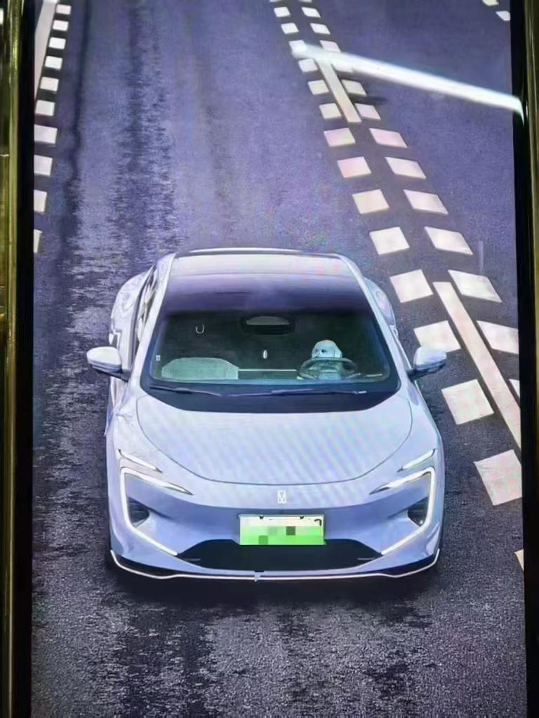  神马情况！狗狗高速开车？车主被罚50元扣6分，真相大揭秘 