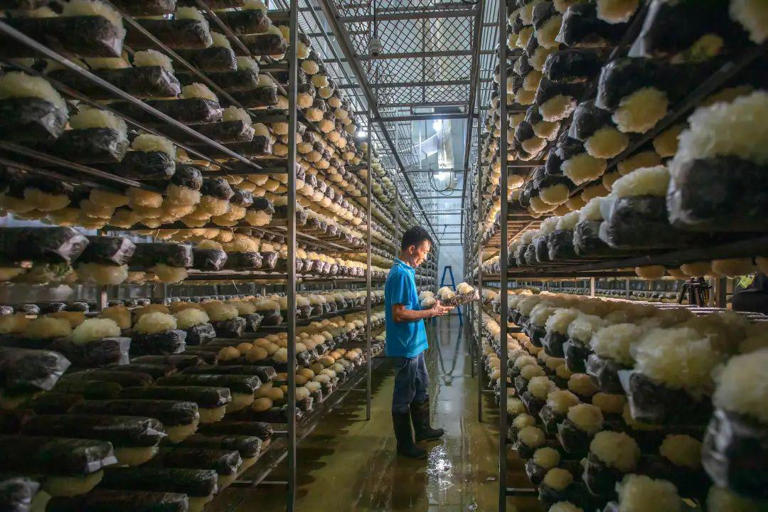 独占全球85%产量，坐拥280亿产值！它凭啥→